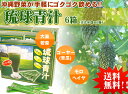 【送料無料】野菜嫌いも野菜不足も悩み解消!琉球青汁60包入×6箱(4)