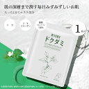 ハーブシリーズ ドクダミリーズ ドクダミ フェイス&ネックマスクパック-肌の鎮静 保湿 ドクダミ【DMSA00001-A-033】