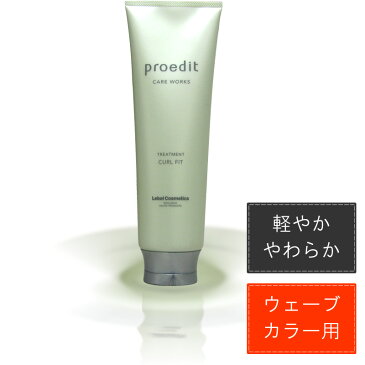 ルベル プロエディット ケアワークス ホームチャージ トリートメント カールフィット /250mL【LebelCosmetics ProeditCarewarks】 【 トリートメント ウェーブスタイル 】