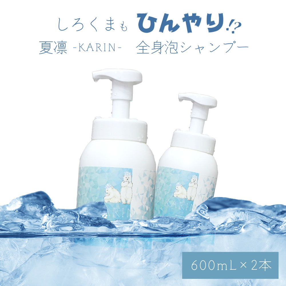 [ 2本セット ] シャンプー クール ビューティシモ KARIN 夏凛 全身シャンプー 600mL×2 ミント クール メントール 冷たい 女性 泡シャンプー ボディソープ 冷やしシャンプー 美容師 サロン専売品 おすすめ