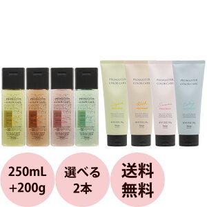 [ 選べる2点セット 美容室専売 ] ホーユー プロマスター カラーケア シャンプー＆ヘアトリートメント / 250mL+200g サロン専売品 ヘアカラー ケア ダメージケア 美容師 おすすめ 人気 送料無料