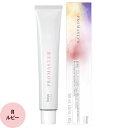 ホーユー プロフェッショナル プロマスター ベーシックカラー R ルビー 80g