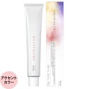 ホーユー プロフェッショナル プロマスター アクセントカラー 80g