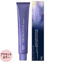 ホーユー プロフェッショナル プロマスター ピグメント アクセントカラー 80g
