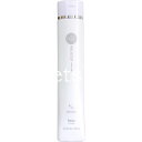 ホーユー プロステップ ヘアケア A/Gシャンプー / 300mL 【 シャンプー カラーケア ハリ・コシ・ボリューム 】