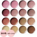 ウィネイルズ oui nails カラージェル (BS001~BM016) / 4g ネイルアート サロン ジェルネイル ゼラニウム ヌードカラー 塗りやすい
