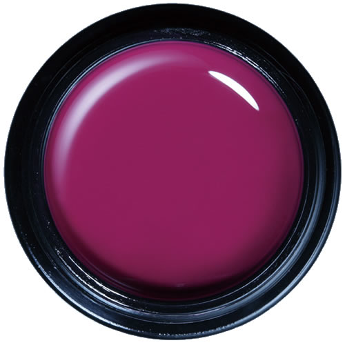 パラジェル アートライン カラージェル AM26 ワイン / 4g