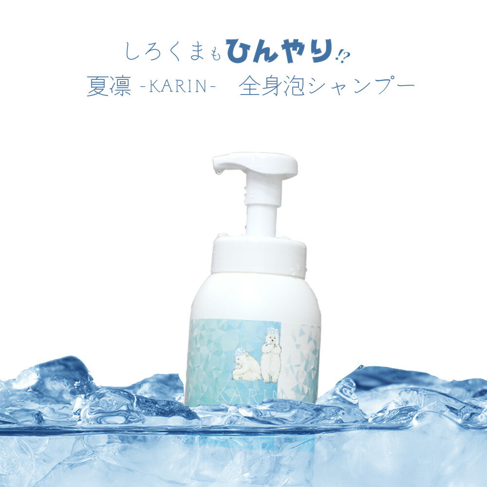 シャンプー クール ビューティシモ KARIN 夏凛 全身シャンプー 600mL ミント クール メントール 冷たい 女性 泡シャンプー ボディソープ 冷やしシャンプー 美容師 サロン専売品 おすすめ