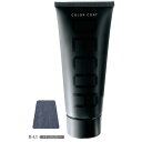 イリヤ カラーコート デコレ D-L1 ナチュラルグレー 160g ヘアマニキュア 髪の毛 しっとり なめらか 美容室 美容師 ヘアカラー