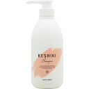 &NINE KESHIKI アンドナイン ケシキ シャンプー ポンプボトル 480mL 美容師 美容院 美容室 サロン シャンプー 人気 いい 匂い シャンプー おすすめ