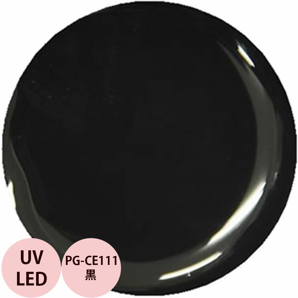 PREGEL プリジェル カラーEX 黒 PG-CE111 カラージェル / 4g （定形外 対応）