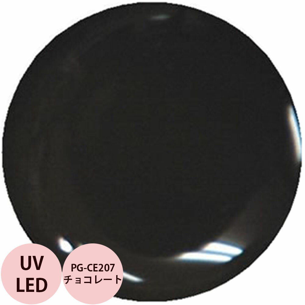 PREGEL プリジェル カラーEX チョコレート PG-CE207 カラージェル / 4g （定形外 対応）