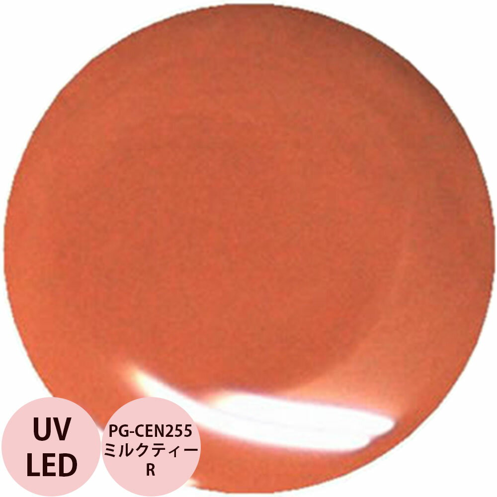 PREGEL プリジェル カラーEX ミルクティーR PG-CEN255 カラージェル / 4g （定形外 対応）