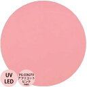 PREGEL プリジェル カラーEX アプリコットピンクneo PG-CEN279 カラージェル / 4g (定形外 対応)