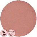 PREGEL プリジェル カラーEX ロージーベージュneo PG-CEN281 カラージェル / 4g (定形外 対応)