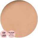 PREGEL プリジェル カラーEX ライトベージュ PG-CE282 カラージェル / 4g (定形外 対応)
