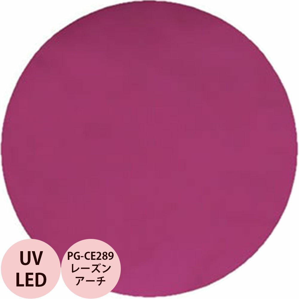 PREGEL プリジェル カラーEX レーズンアーチ PG-CE289 カラージェル / 4g (定形外 対応)