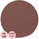 PREGEL プリジェル カラーEX シャビーブラウン PG-CE821 カラージェル / 3g (定形外 対応)