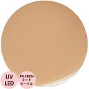 PREGEL プリジェル カラーEX ヌードオークル PG-CE826 カラージェル / 3g (定形外 対応)