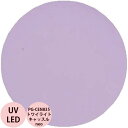 PREGEL プリジェル カラーEX トワイライトキャッスルneo PG-CEN835 カラージェル / 3g (定形外 対応)