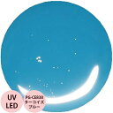 PREGEL プリジェル カラーEX ターコイズブルー PG-CE838 カラージェル / 3g (定形外 対応)