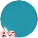 PREGEL プリジェル カラーEX ターコイズグリーン PG-CE839 カラージェル / 3g (定形外 対応)