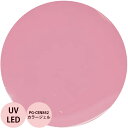 PREGEL プリジェル カラーEX ピンクオパールneo PG-CEN842 カラージェル / 3g (定形外 対応)