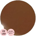 PREGEL プリジェル カラーEX セブンティーズキャメル PG-CE844 カラージェル / 3g (定形外 対応)
