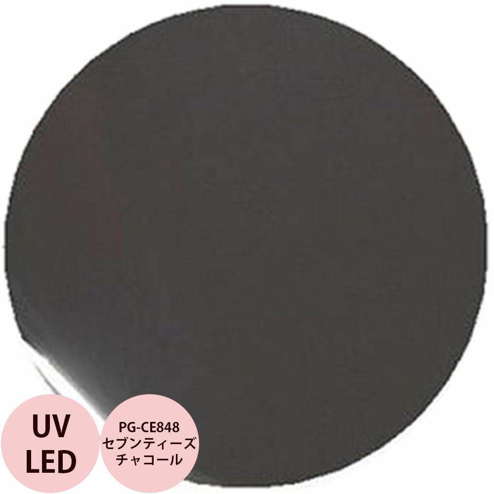 PREGEL プリジェル カラーEX セブンティーズチャコール PG-CE848 カラージェル / 3g (定形外 対応)