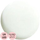 PREGEL プリジェル カラーEX フレンチホワイト PG-CEW51 カラージェル / 3g (定形外 対応)