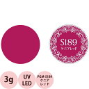 PREGEL プリジェル ミューズ カラージェル PGU-S189 ケニアレッド / 3g (定形外 対応)