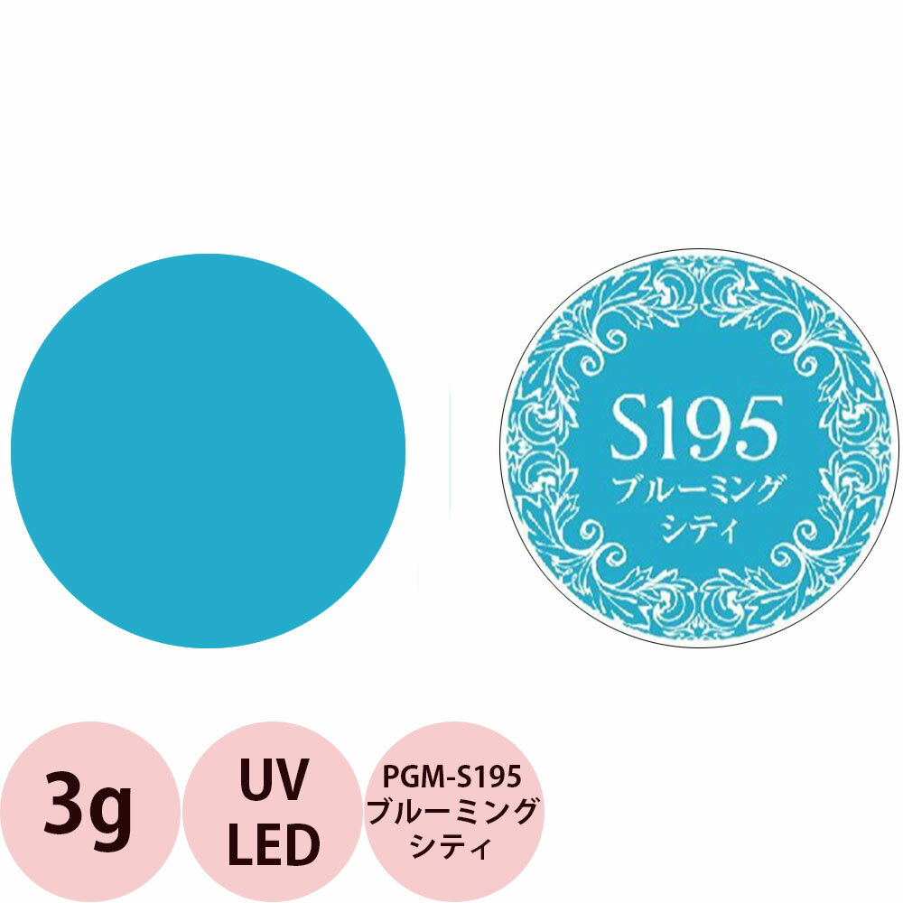 PREGEL プリジェル ミューズ カラージェル PGU-S195 ブルーミングシティ / 3g （定形外 対応）