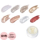 PREGEL プリジェル エメナ ミラーパウダー(全8色) / 0.3g (定形外 対応)