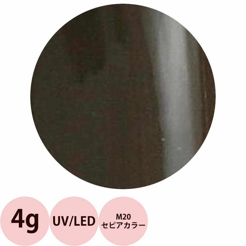 【訳あり】Raygel レイジェル カラージェル M20（セピアカラー） / 4g