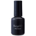 Raygel レイジェル プライマー 10g (定形外 対応)