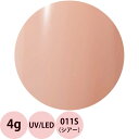 Raygel レイジェル カラージェル 011S シアー コーラルピンク 4g 定形外 対応