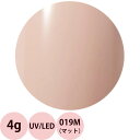 Raygel レイジェル カラージェル 019M マット コーラルベージュ 4g 定形外 対応