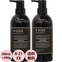 [ 2点セット ] サンコール R-21 EX シャンプー＆トリートメント 500mL + 500g [ ヘアケア 髪 ダメージケア ヘマチン 補修 美容室専売 おすすめ 人気 ] 送料無料 あす楽 対応 SUNCALL