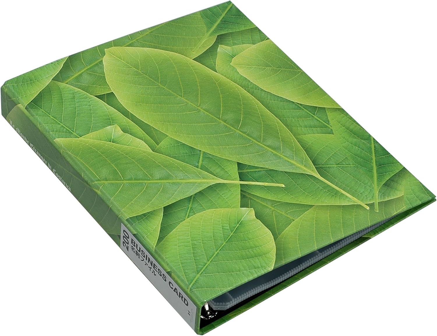 エトランジェ・ディ・コスタリカ 名刺ファイル グリーン A4 200人分 差し替え式
