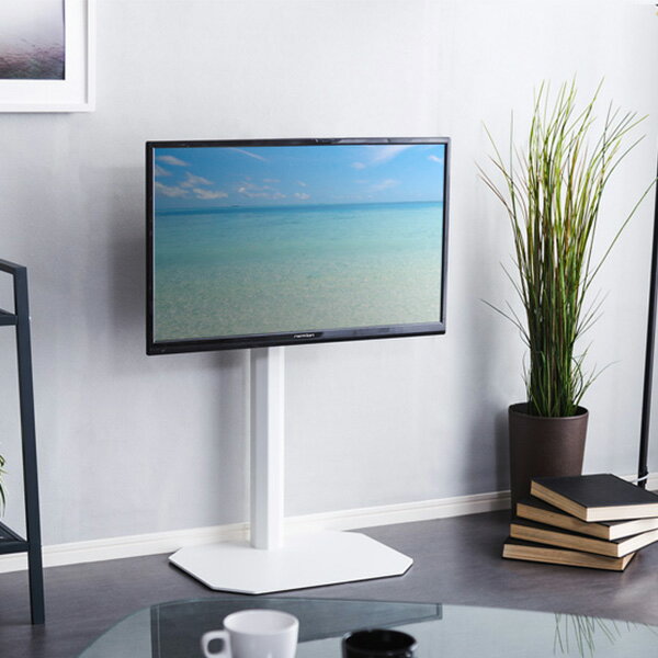ƥӥ  ɴ 󿶤 ̲ ƥ ɳݤ  65  ƥӥܡ tv tvܡ tv...