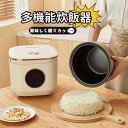 電気 炊飯炊飯器 5L コンパクト炊飯器 独り暮らし 110v ミニ炊飯器 おかゆ調理モード 保温予約機能 多機能炊飯器 4つの便利なモード(ご飯、スープ、おか...