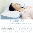 【当日発送】低反発枕 枕 プレミアム いびき防止 ストレートネック 快眠 誕生日 新生活 ギフト クリスマス プレゼント 福袋 父の日 母の日 新生活 引っ越し