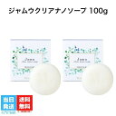 正規品 ヴィーナスラボ フェミナチュール ジャムウクリアナノソープ (100g) VIO 石鹸 ジャムウソープ ジャムウ