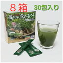 【賞味期限2026年9月】【8箱セット】銀座ステファニー 飲みごたえ野菜青汁 30包