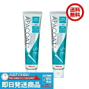 【2個セット】アパコートS.E. 120g ナノテクノロジー ヤクルト化粧品 薬用
