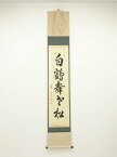 【中古】【書画】建仁寺竹田益州筆　「白鶴舞老松」一行書　肉筆紙本掛軸（共箱）【送料無料】[中古 掛け軸 床の間 書 おしゃれ 絵画 表具 アート 芸術 茶道 年中掛け インテリア 茶掛 寝室 和室 茶室]