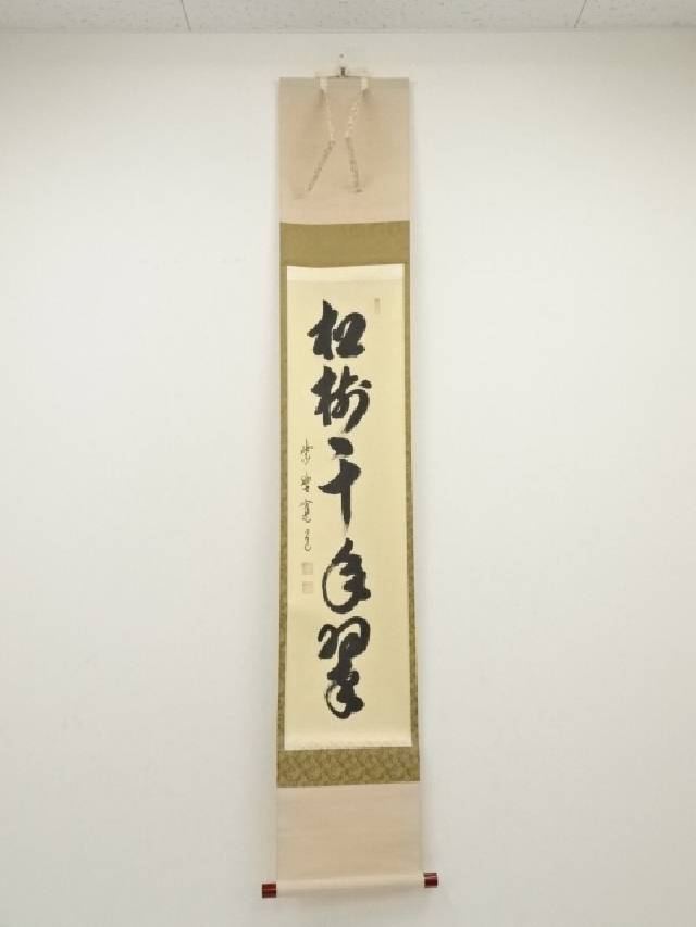 【中古】【書画】大徳寺　藤田寛道筆　「松樹千年翠」一行書　肉筆紙本掛軸（共箱）【送料無料】掛け軸 床の間 書 おしゃれ 絵画 表具 芸術 茶道 年中掛け インテリア 茶掛 掛物 和室 1月 冬