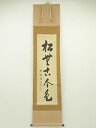 【中古】【書画】大徳寺 小田雪窓筆 「松無古今色」一行書 肉筆紙本掛軸【送料無料】掛け軸 床の間 書 おしゃれ 絵画 表具 芸術 茶道 年中掛け インテリア 茶掛 掛物 和室 1月 11月 秋