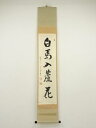 【中古】【ゴールデンウィークセール55%オフ】【書画】前大徳 雪尾要道筆 「白馬入蘆花」一行書 肉筆紙本掛軸(共箱)【送料無料】掛け軸 床の間 書 おしゃれ 絵...