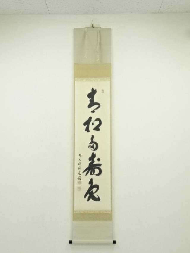 【中古】【書画】前大徳　福本積應筆　「青松多寿色」一行書　肉筆紙本掛軸（共箱）【送料無料】